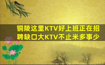 内蒙古夜场招聘